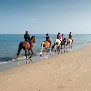 Balade a cheval Joal