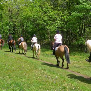 Balade a cheval Ngaparou