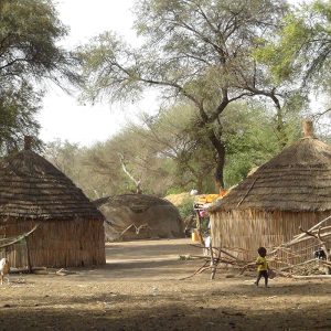 Excursion brousse village sérère ou peul Ngaparou
