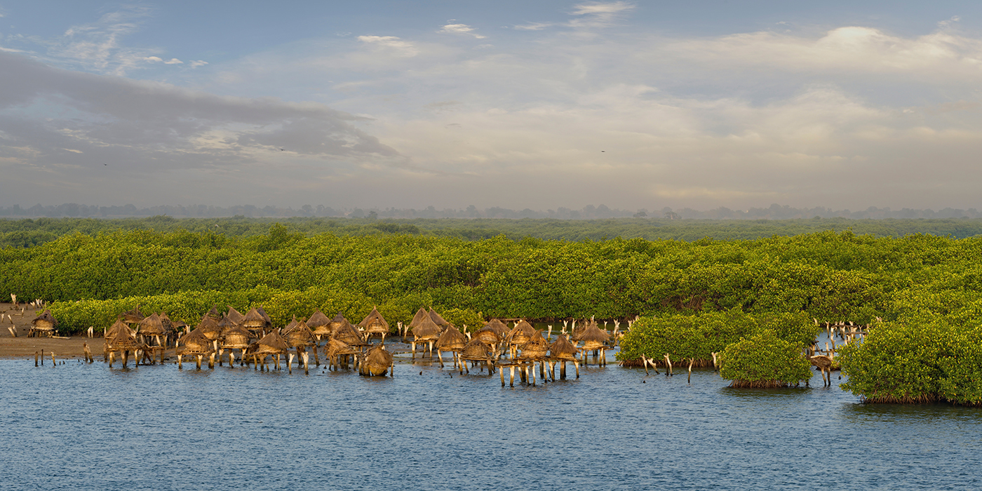West Africa, Senegal. A small farm for collecting shellfish in s