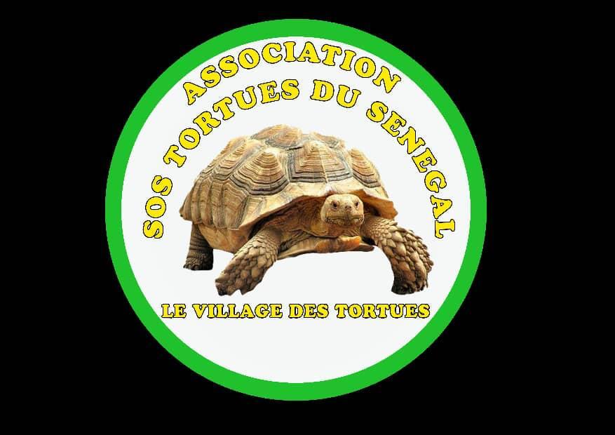 Village des tortues