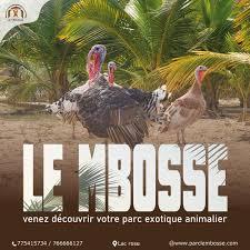Visites & Forfaits au Lac Rose