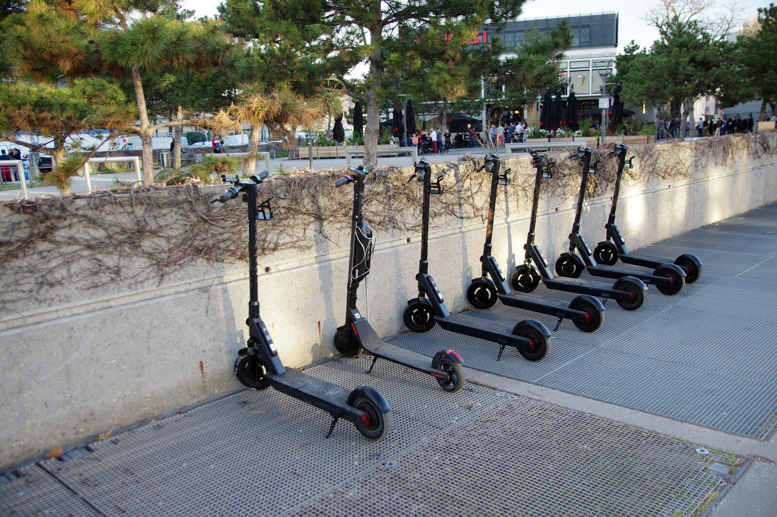trottinettes-electriques-alignees-libre-service_1