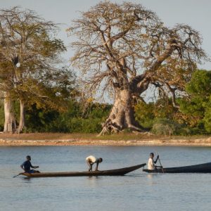 Visite des îles de la Casamance
