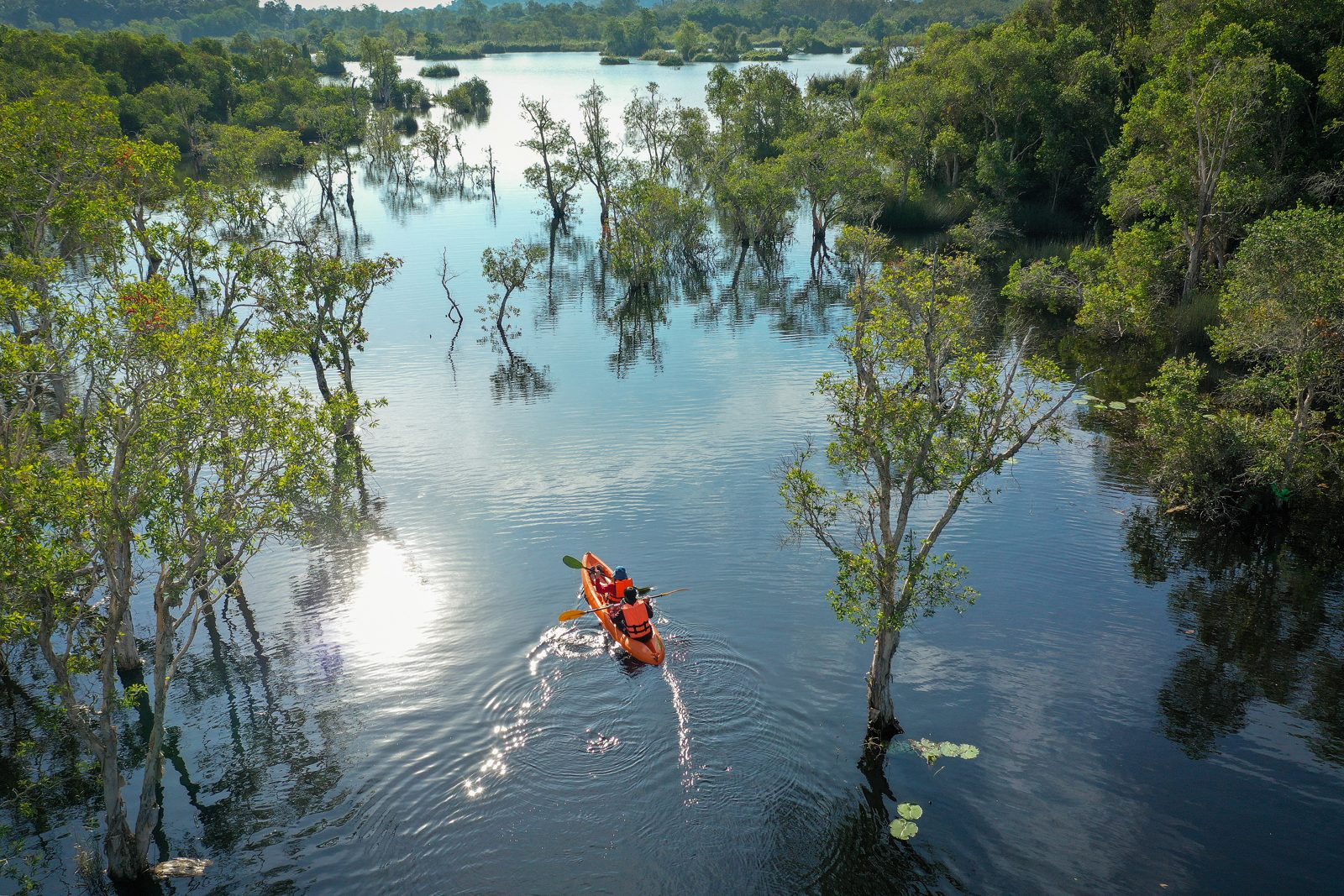 Canoë-kayak en rivière - Sénégal Descente en canoë-kayak sur une rivière bordée de mangrove au Sénégal