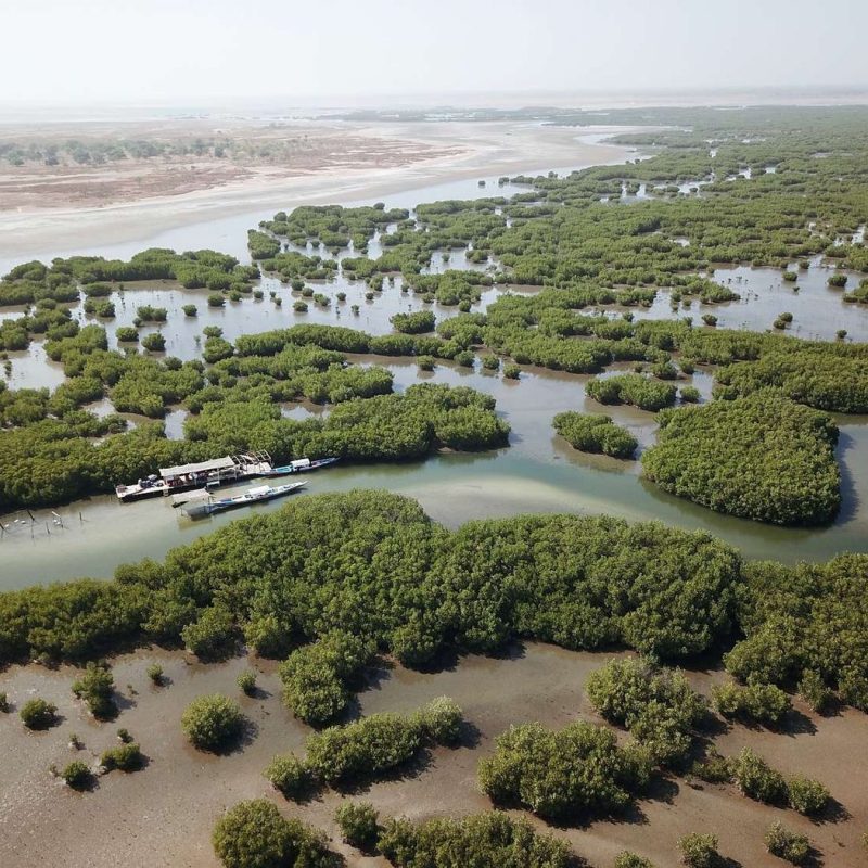 Delta du Sine-Saloum