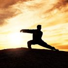 Kung-Fu, Qi Gong & Tai Chi — Dakar, Sénégal