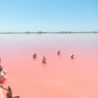Récolteurs de sel dans les eaux roses du lac Retba, Sénégal