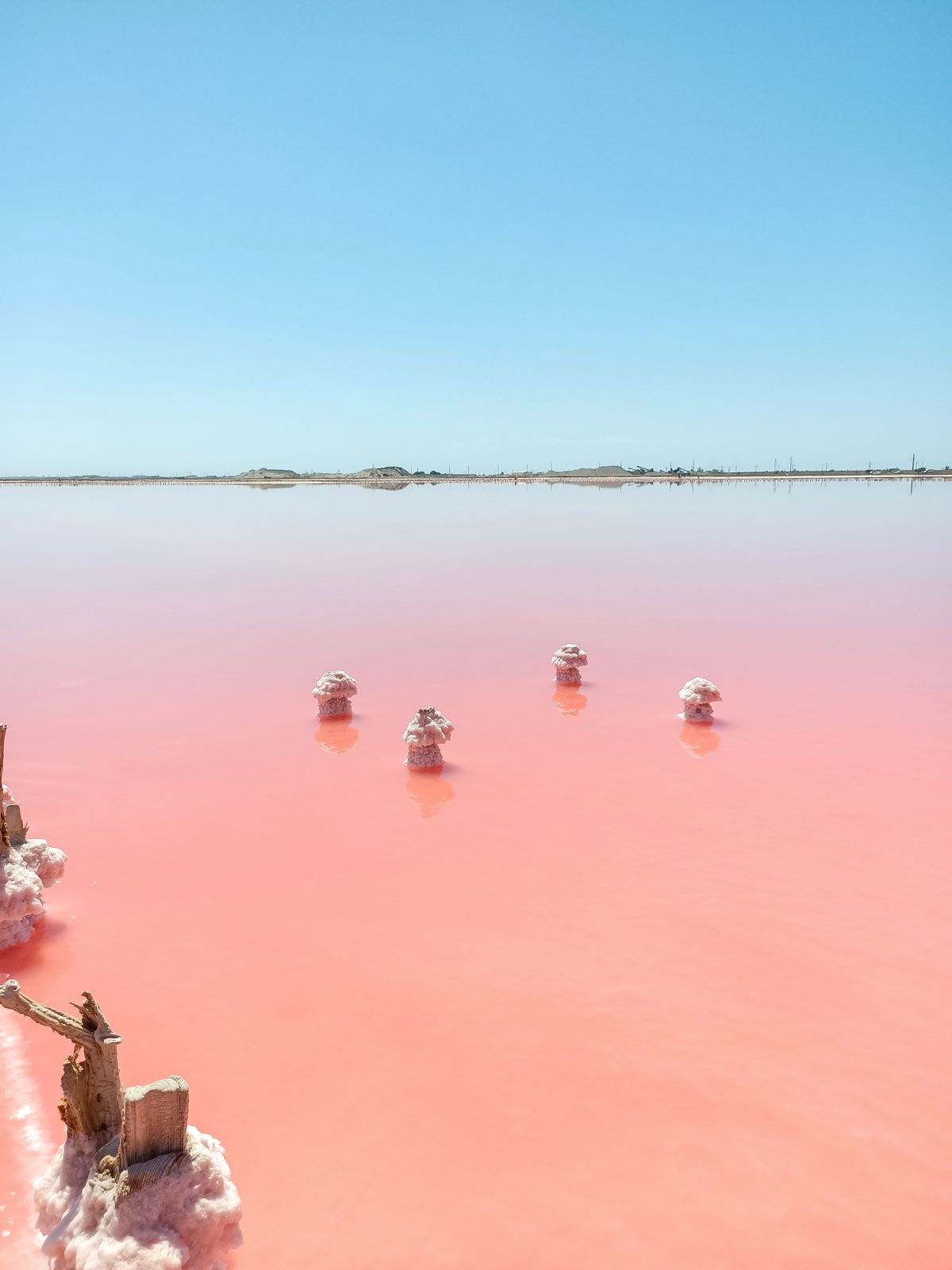 Récolteurs de sel au lac Rose - Sénégal Récolteurs de sel dans les eaux roses du lac Retba, Sénégal