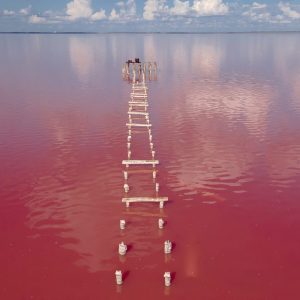 Lac rose salines, Sénégal