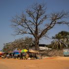 Marché de Ziguinchor en Casamance