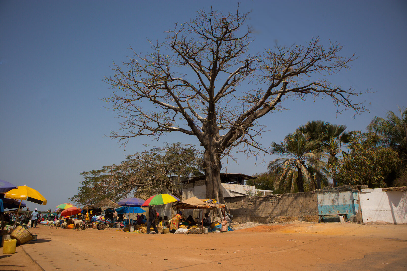 Marché de Ziguinchor en Casamance Marché de Ziguinchor en Casamance