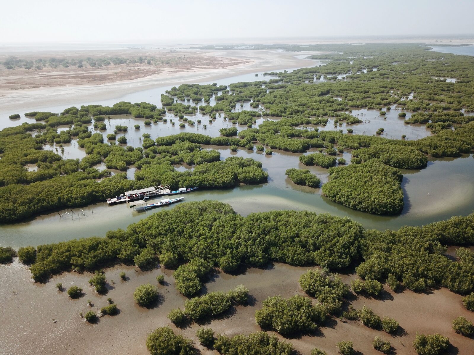 Balade en pirogue - lagune de Somone Sine saloum canaux mangroves vue aerienne, Sénégal