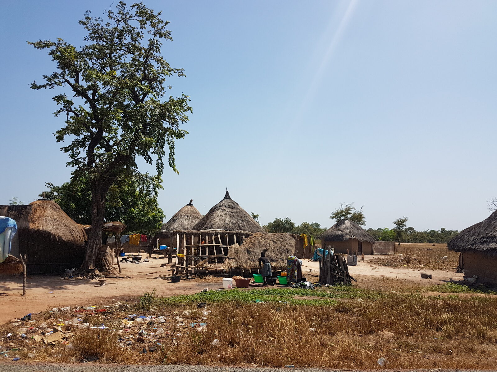 Village traditionnel cases baobab Sénégal